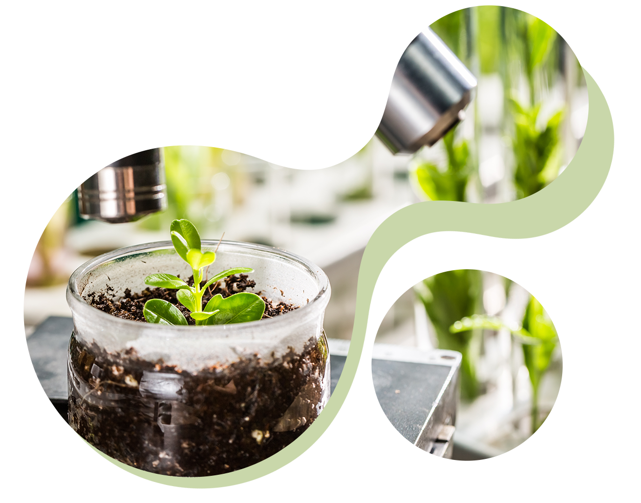 Jól felszerelt  mikrobiológiai laboratórium és gyártóüzem