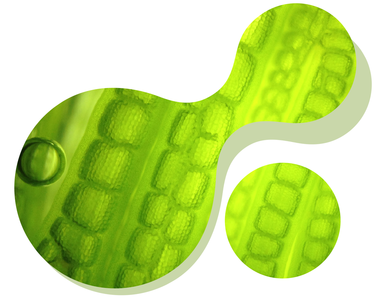 Gyártási rugalmasság  egyedi igények